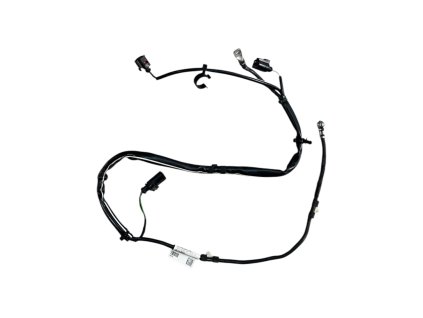 Fotoroom 20260120 084158