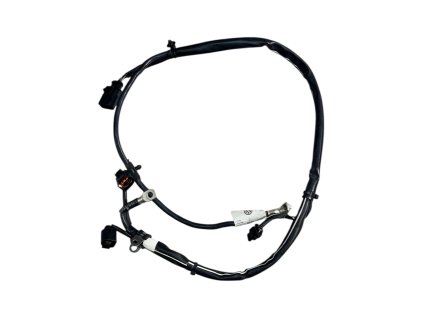 Fotoroom 20260120 095950