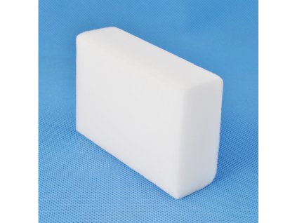 2973 magicka houba 1