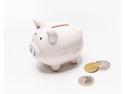 2621 3 pokladnicka prasatko 4