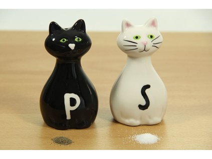 3457 solnicka a peprenka kocky 1