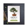 90 2 grow it bonsai 3