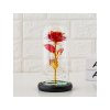 15531 3 svitici ruze ve sklenene vaze 4