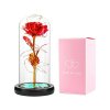 15531 svitici ruze ve sklenene vaze 1