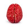 17673 umely krvavy mozek 1