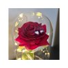 svitici vecna ruze ve skle darkovy box 21619 4