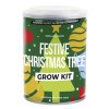 18222 festive christmas tree tin packaging v1