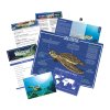 18255 adopt a sea turtle product v1