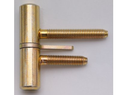 Záves dver.60mm šrub.s hreb.žltý zn
