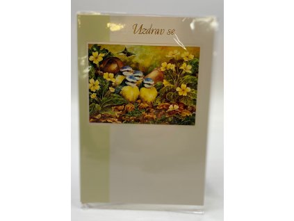 Přání s obálkou, Brzké uzdravení, mix motivů