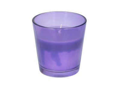 Repelentní svíčka ve skle CITRONELLA Arti Casa - náhodná barva