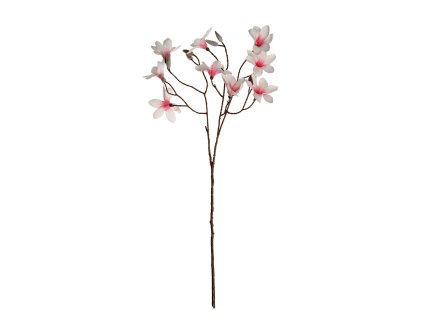 Magnólia vetva x 3 výhony (9 kvetov a puky), výška 70 cm - bielo-ružová  Nový tovar