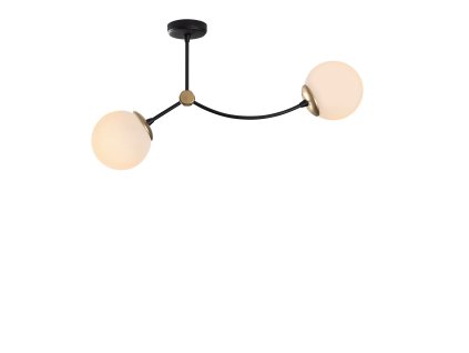 Asir Lustr Kromozom, bílá/černá