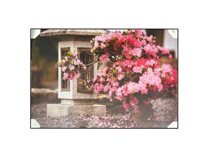 Obraz na plátně 'Bugenvilea' - 80 x 116 cm