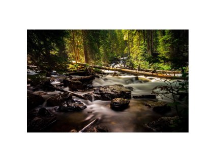 Obraz na plátně 'Krajina' - 80 x 116 cm