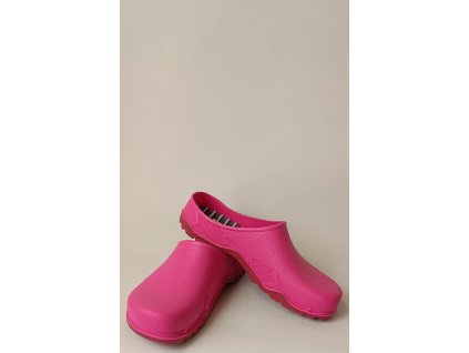 Zahradní kroksy růžové