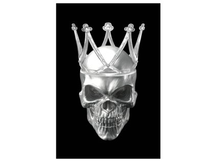 Obraz na skle SKULL 2 - 80x120 cm, černobílé