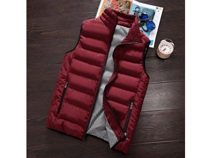 Pánská vesta Brycen