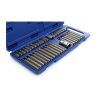 1843 2 12559 2 bity torx spline imbus sada 40 ks ta1204