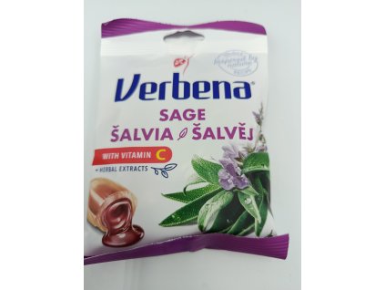 Verbena Šalvia
