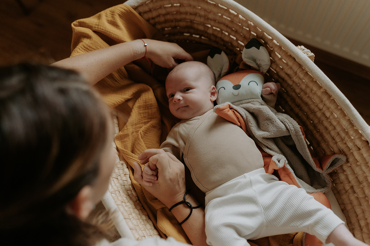 Ababu panel na šití - muchláček