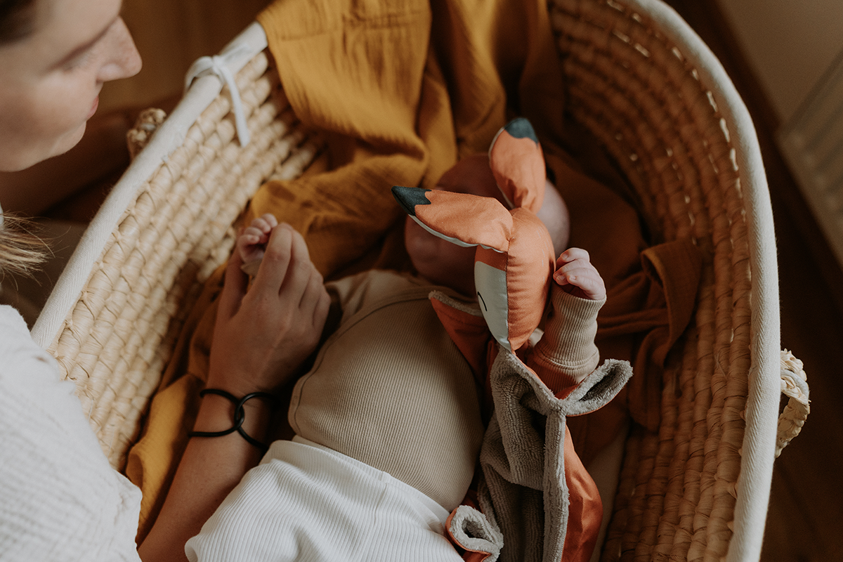 Ababu panel na šití - muchláček