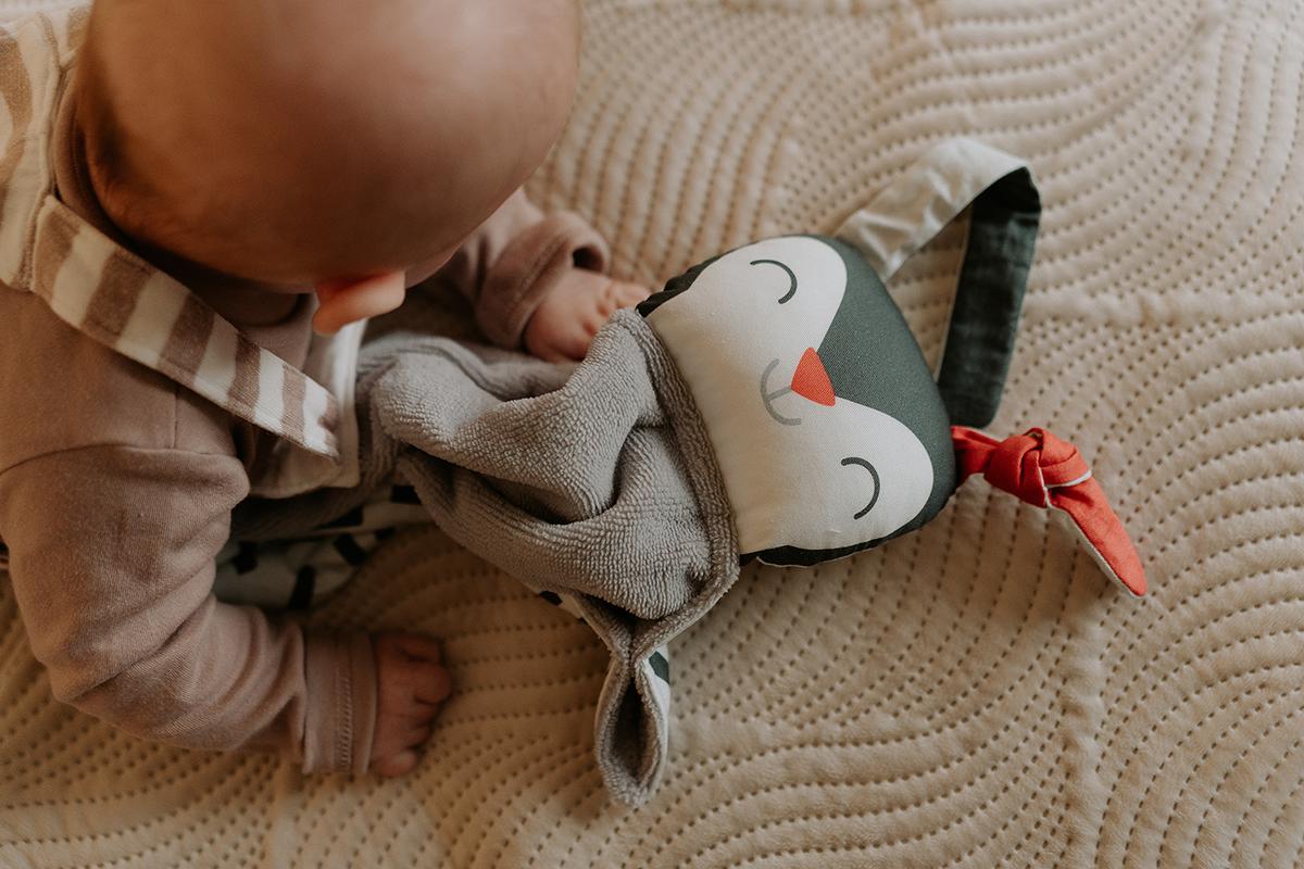 Ababu panel na šití - muchláček