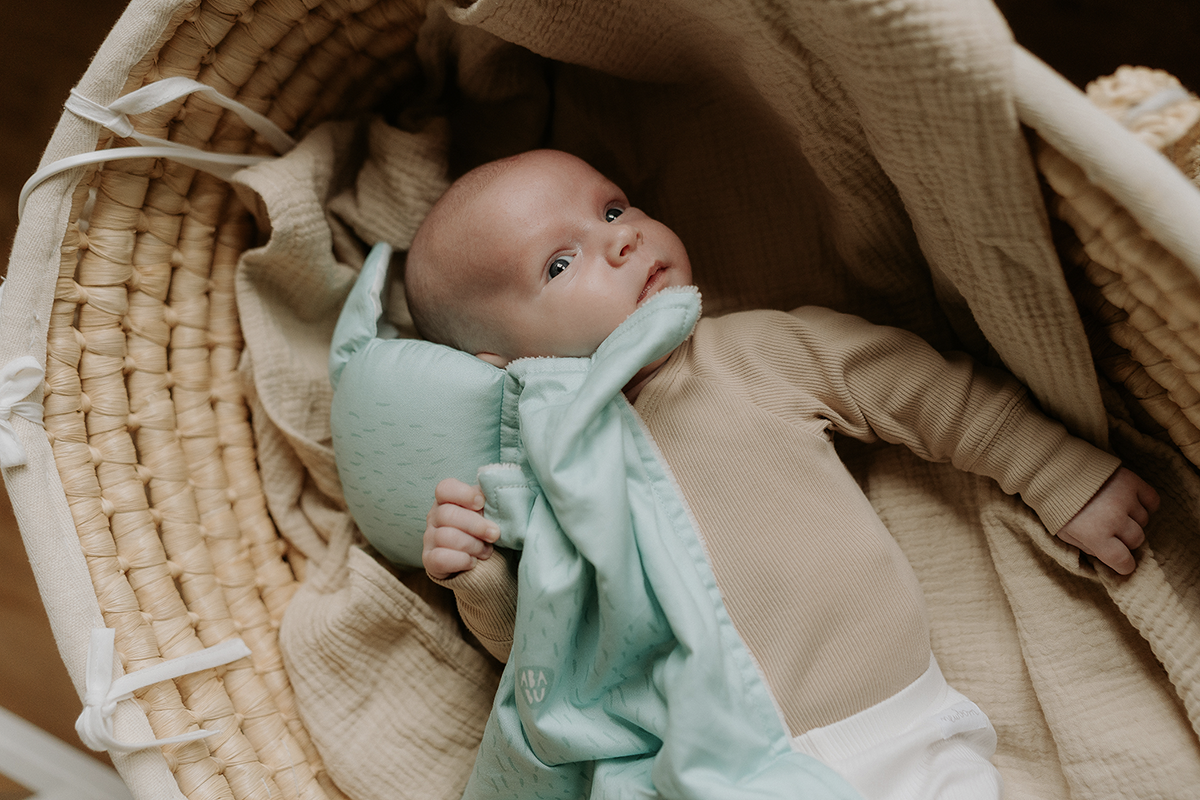 Ababu panel na šití - muchláček