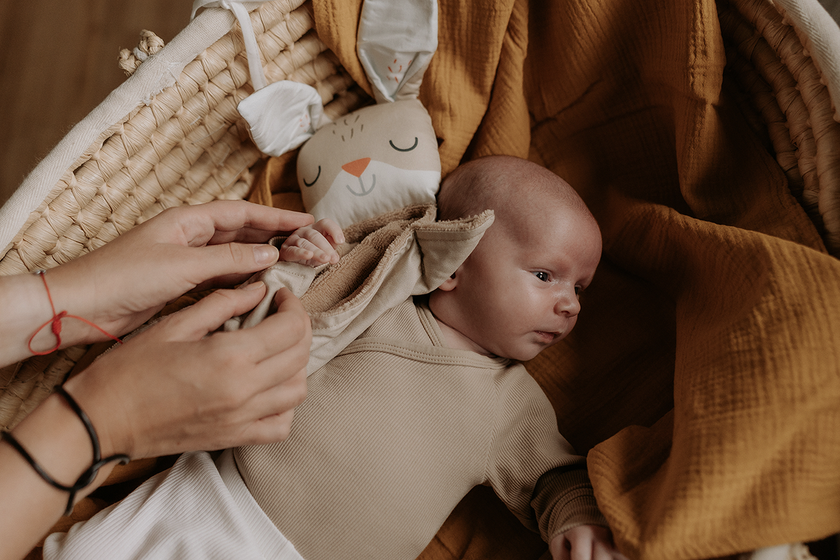 Ababu panel na šití - muchláček