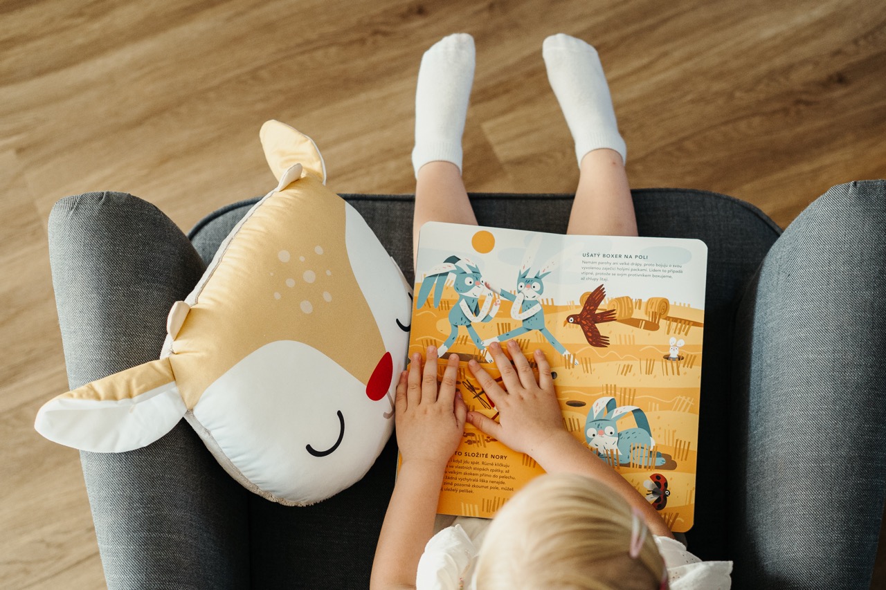 Ababu panel na šití - muchláček