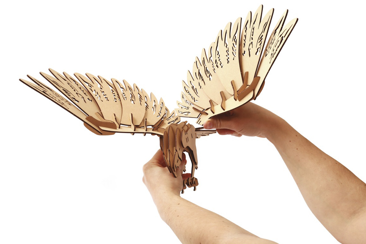 Dřevěný 3D model Kondor 1