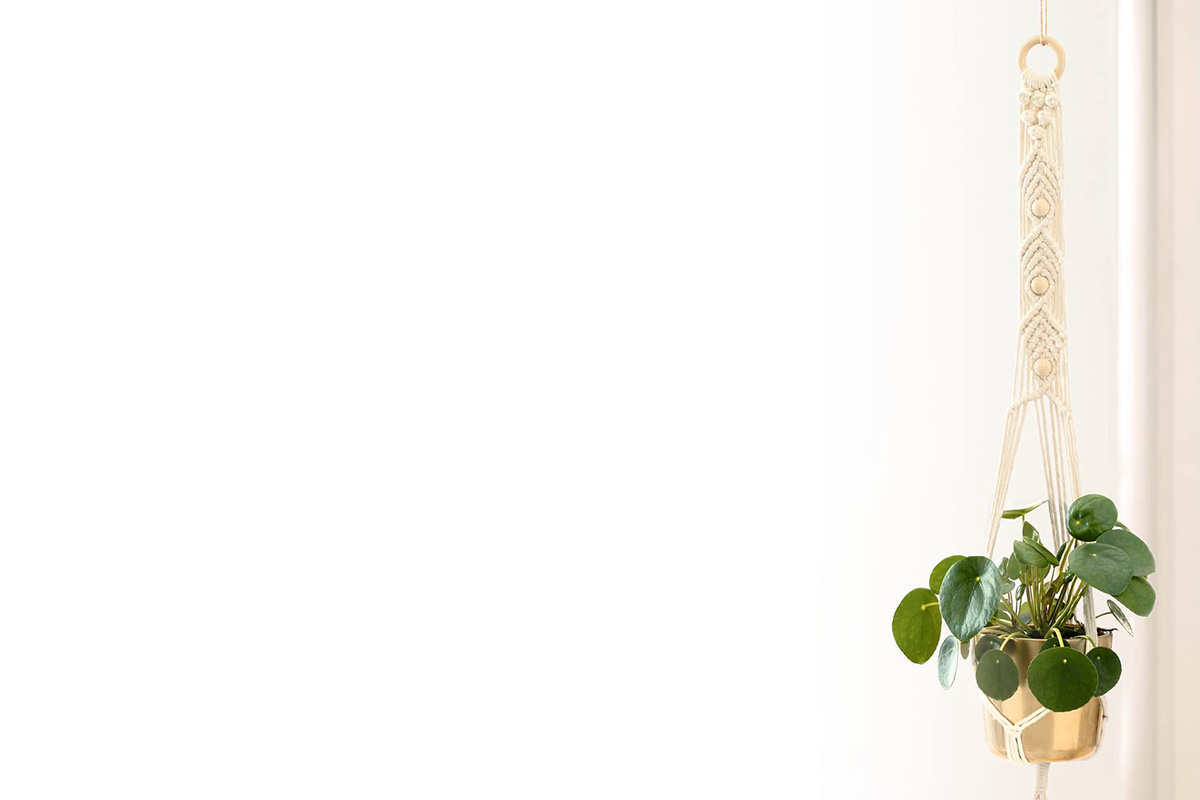 Macrame sada Urban Jungle