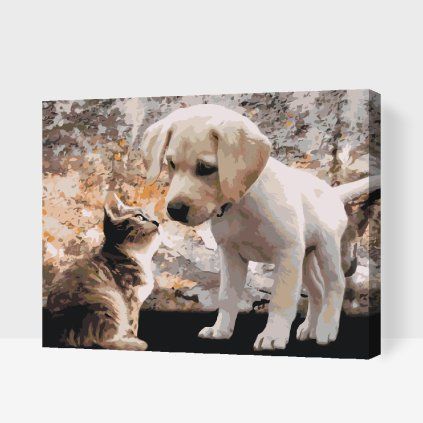 Malování podle čísel - Štěně a kotě