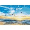 Malování podle čísel - Ptáci letájící nad mořem