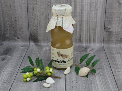 Babiččin sirup jablko a zázvor 200ml