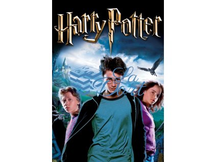 00255 Harry Potter