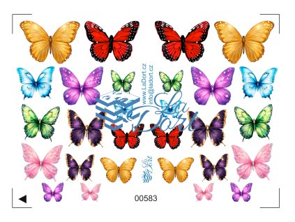 00583 Motýli