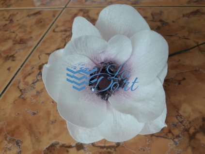 Sasanka - 1x A4 - Wafer paper - 16 okvětních lístků 2 květy - 00103