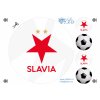 00452 Slavia Praha náhled