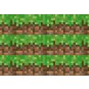 Minecraft - A4 - 00187