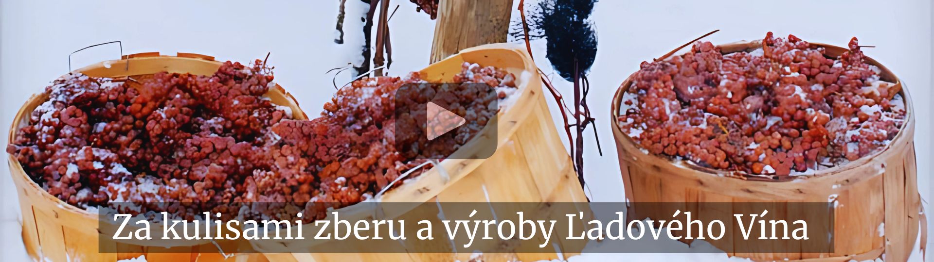 Koše plné hrozna položené na snehu