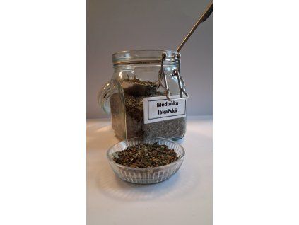 Meduňka lékařská