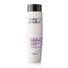 ABSOLUTE SMOOTH SHAMPOO 8/S2 300ml