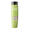 ABSOLUTE CURL SHAMPOO 8/S1