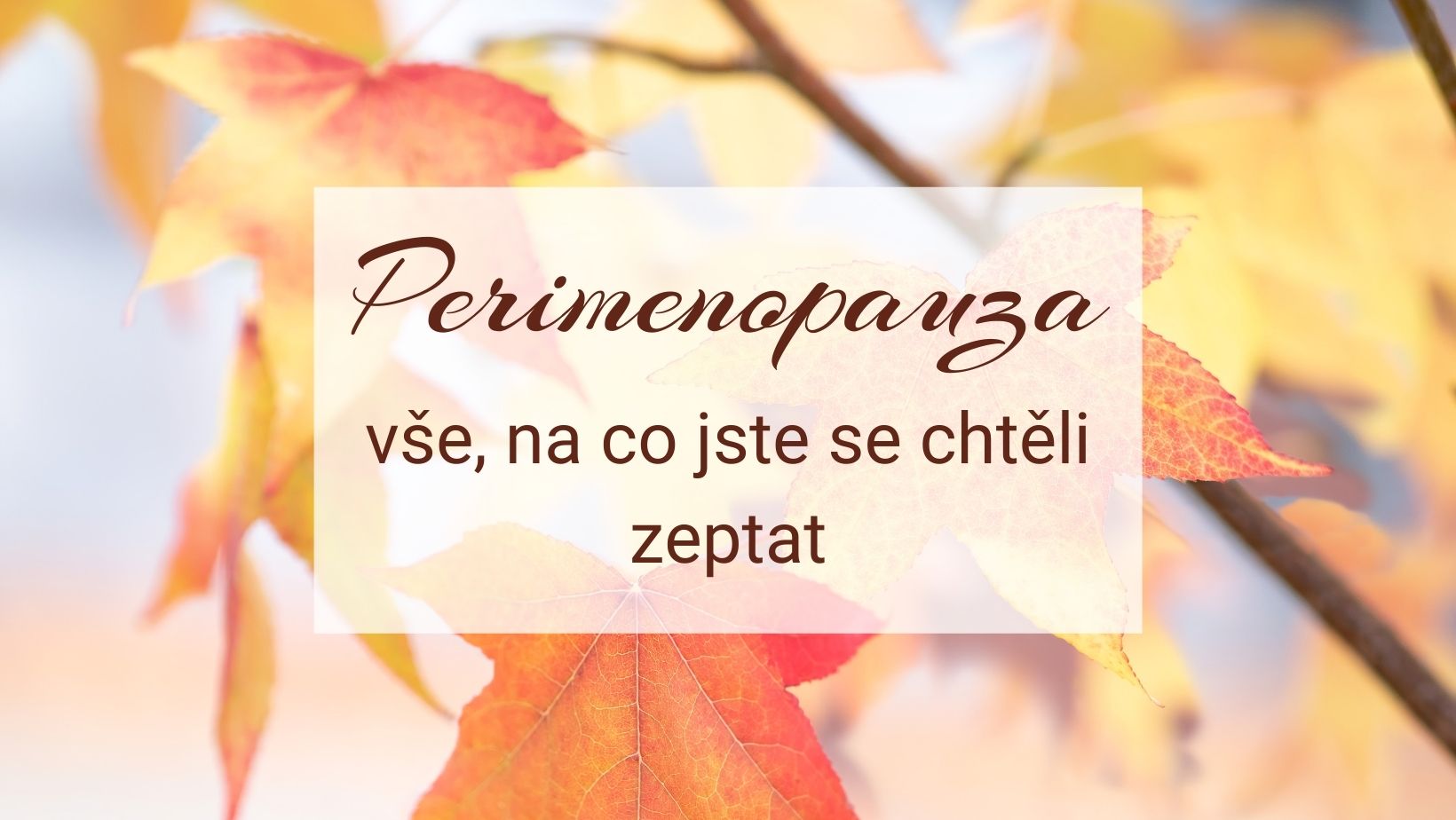 Perimenopauza a vše, na co jste se chtěli zeptat