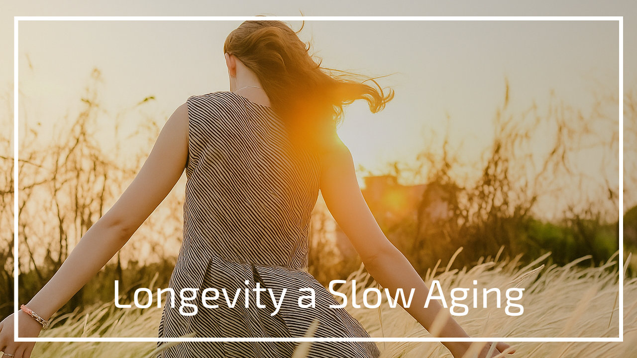 Longevity a Slow Aging