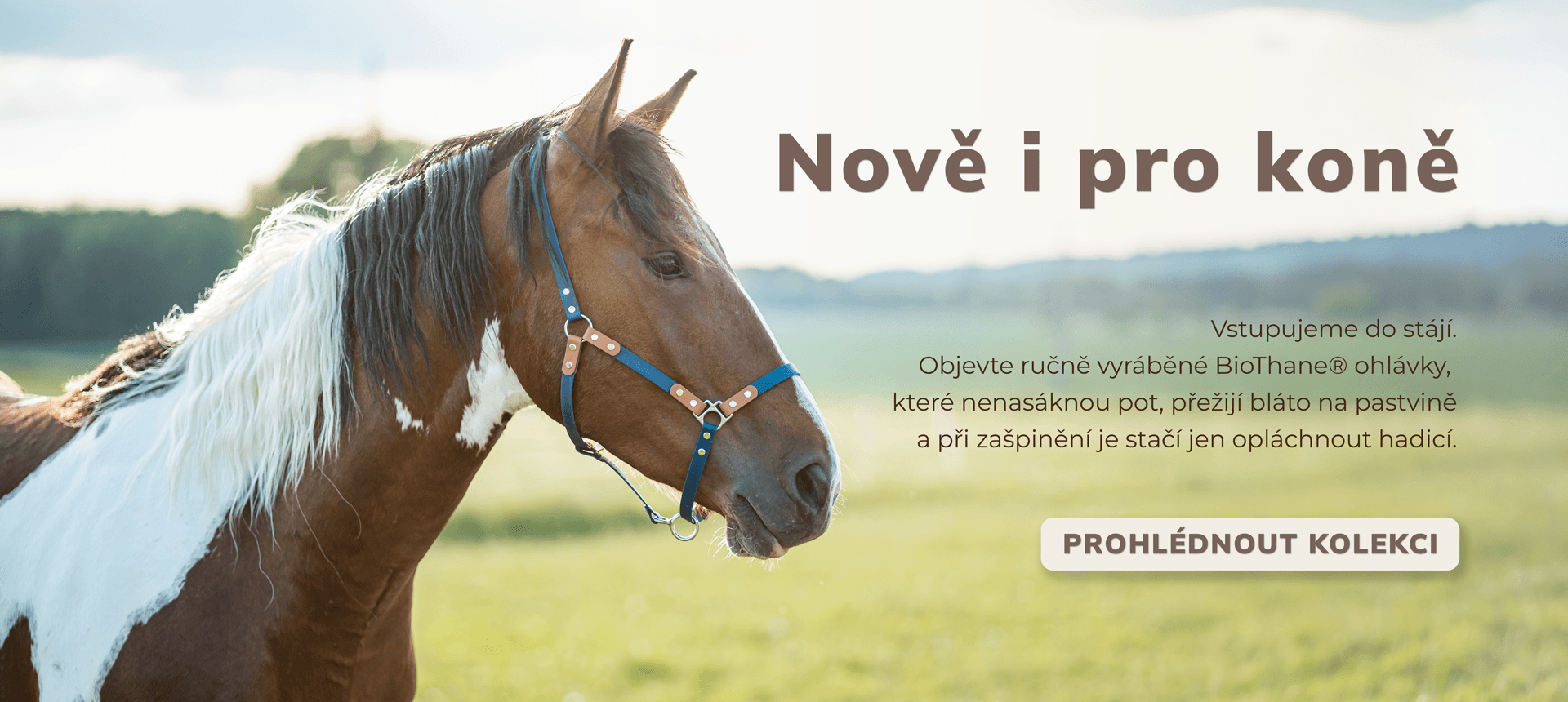 Biothane pro koně