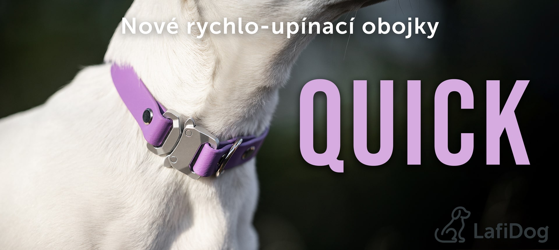 Rychloupínací quick obojky