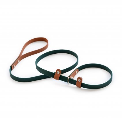 Agility vodítko s integrovaným obojkem BioThane® – Šířka 19 mm