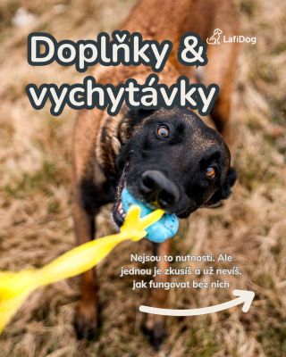 Drobnosti, které ti zas o chlup zjednoduší život se psem 🙏🥰 A nejlepší na tom je, že stále splňuje to naše ✅ voděodolné ✅...
